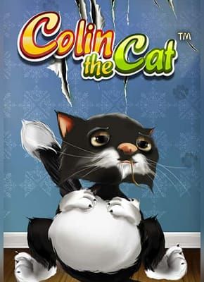 Colin the Cat