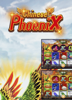 Chinese Phoenix